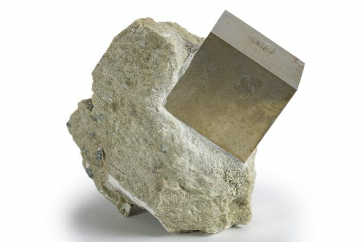 Natural Pyrite Cube In Rock - Navajun, Spain #325003